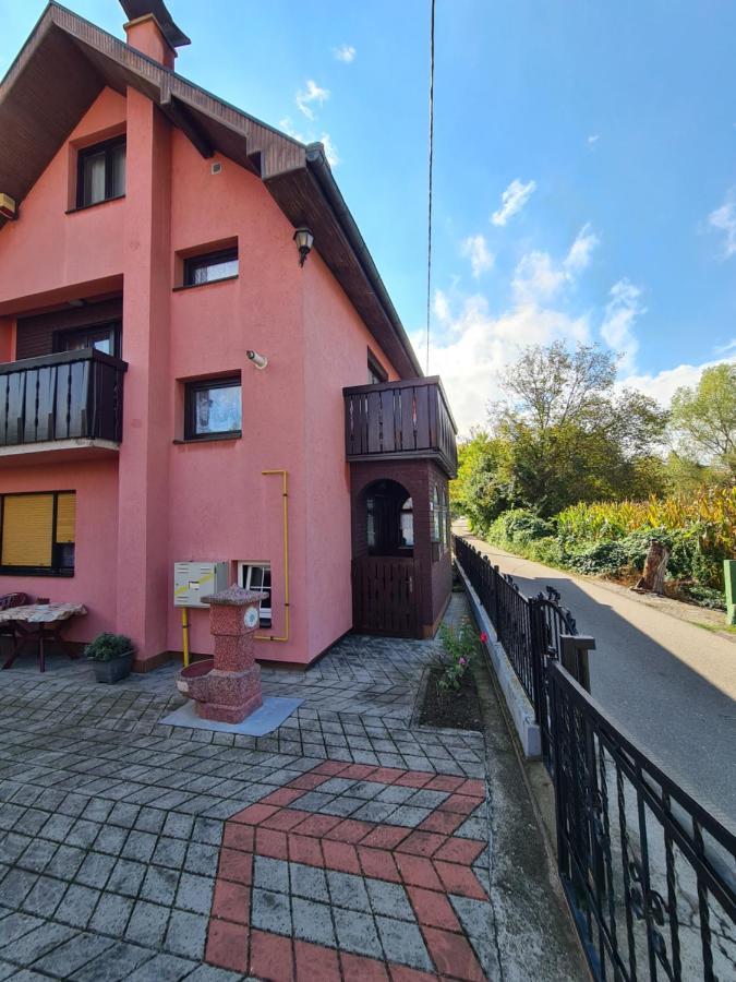 In Pavlovic Διαμέρισμα Banja Koviljača Εξωτερικό φωτογραφία
